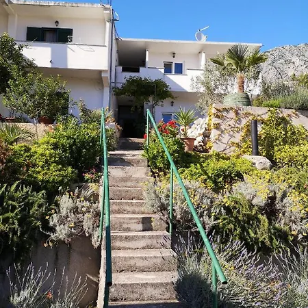 Mare ゲストハウス ドルヴェニク